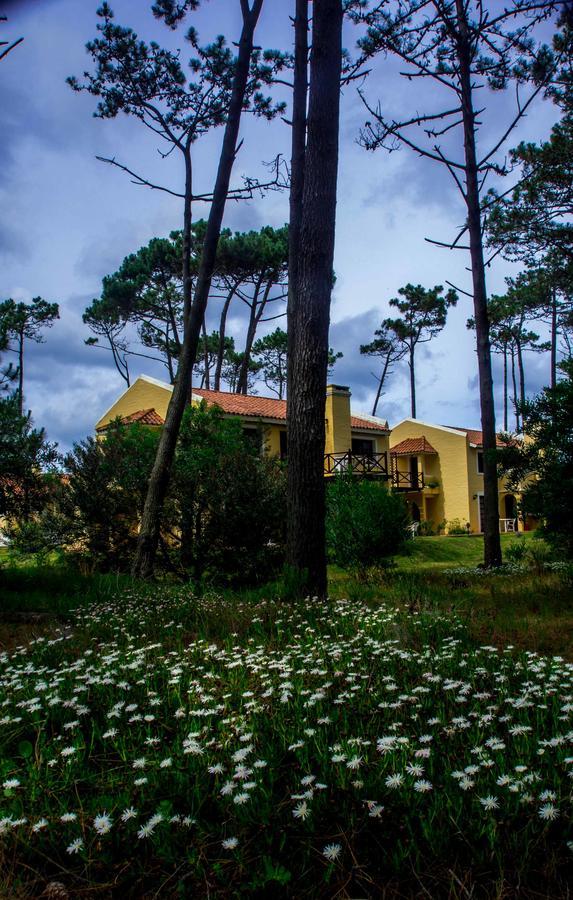 Aparthotel Pino Dorado Manantiales Exterior foto